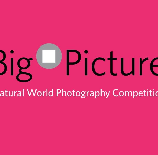 Bigpicture competition