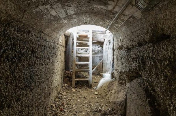 Jugendfarm mohringen ll lowres